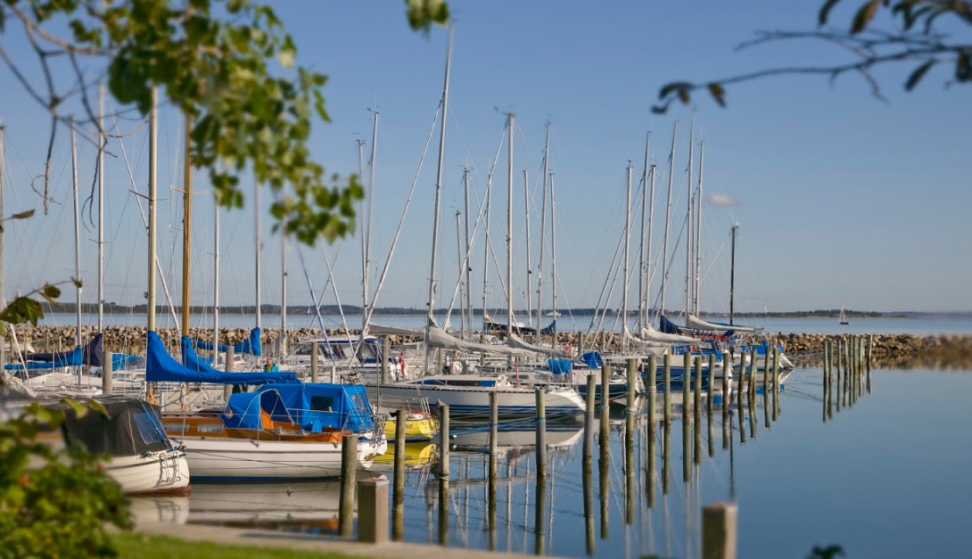 Godt igang fest på Struer Havn den 29. juni