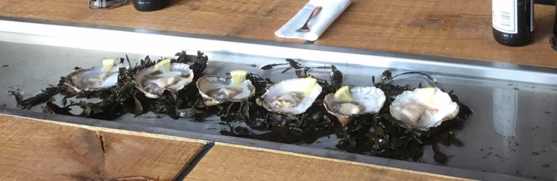 Østers fra Limfjorden